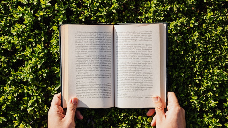 Read more about the article A step-by-step guide to Storytelling
