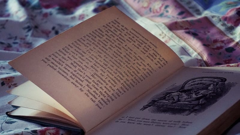 Read more about the article Writing a Short Story? This article is for you then… 